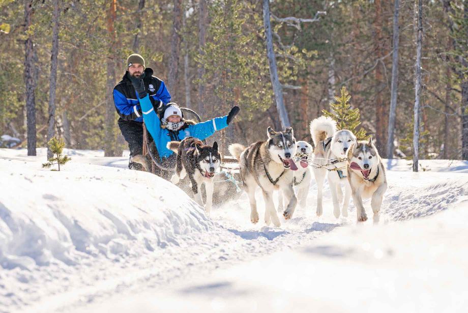 Lapland rejser