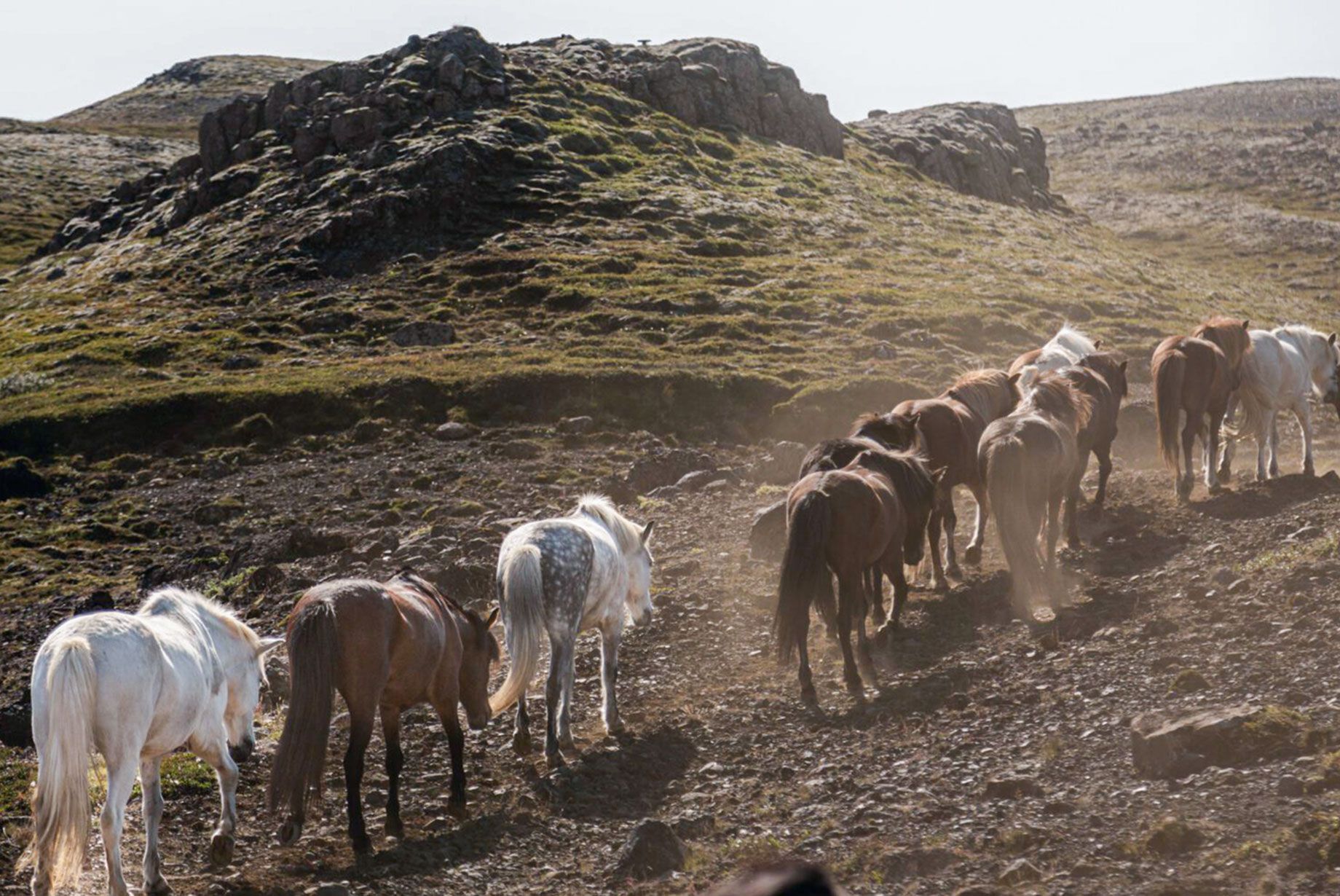 Rideferie Island højland