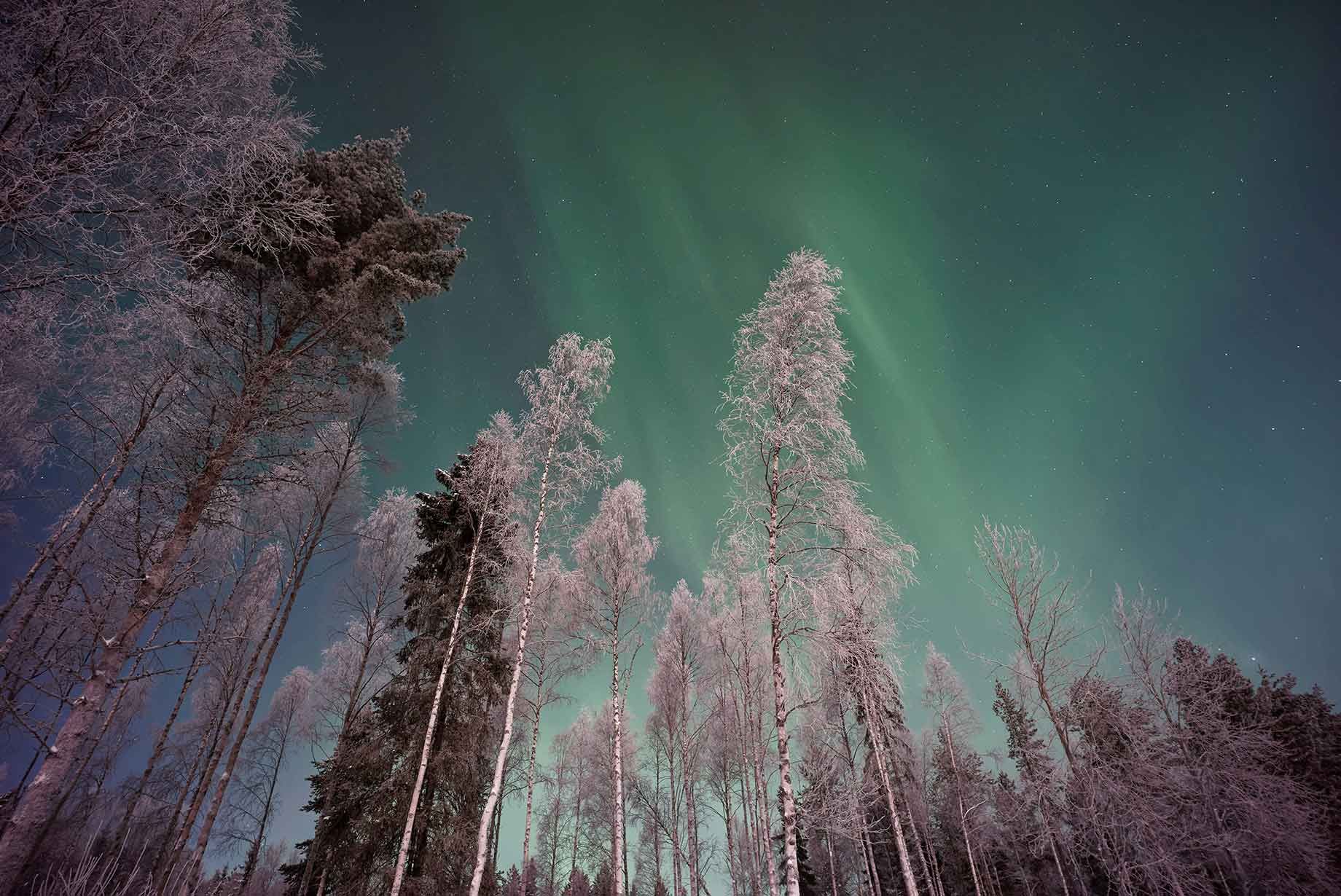 Rejser til lapland 